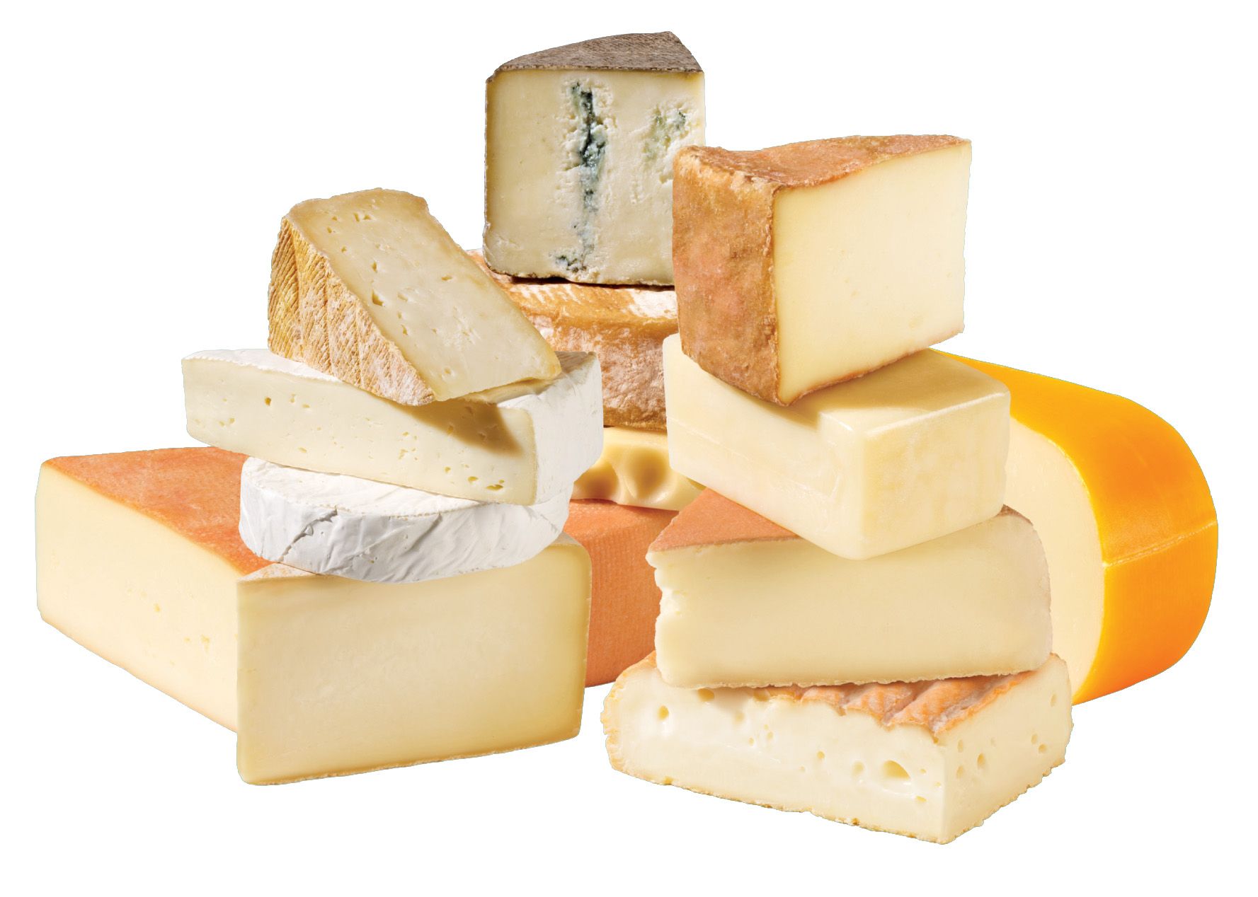 Fabrication Artisanale des Fromages